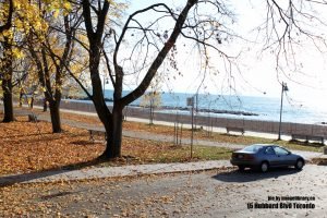 15 Hubbard Blvd, Beaches Toronto, Pictures, Rental Apartment, Rental Apartment Toronto, Studio Apartment, Studio Rental Apartment Toronto